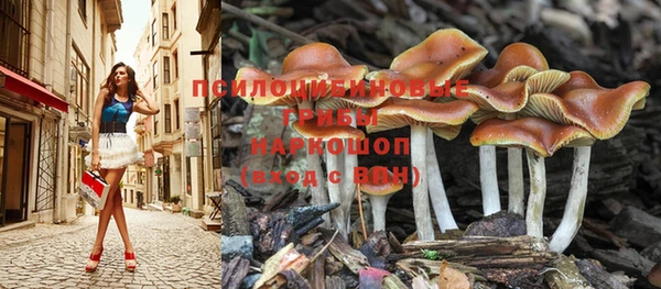 гидра Наволоки