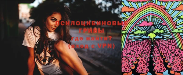 дживик Навашино