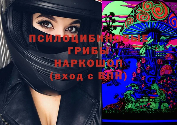 дурь Михайловск