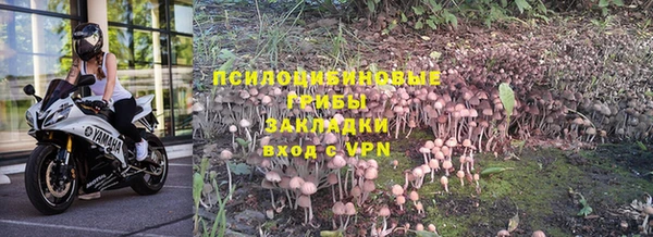 a pvp Михайлов