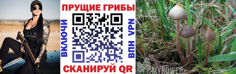 Псилоцибиновые грибы прущие грибы Лакинск